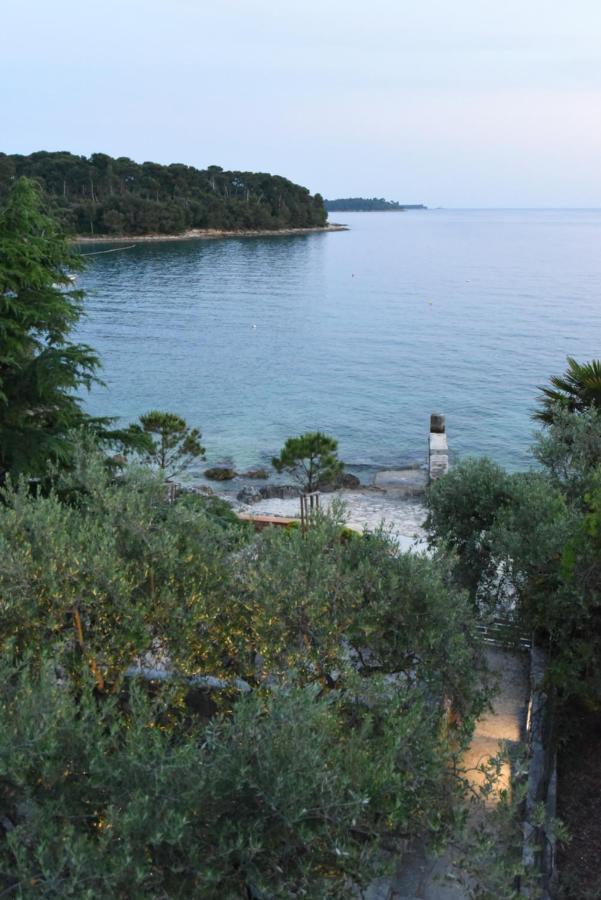 Buric House - M Suite - 95M2 And 54 M2 Terrace Rovinj Extérieur photo